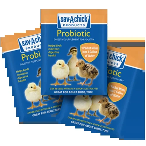 Sav-A-Chick® Probiotic Supplement