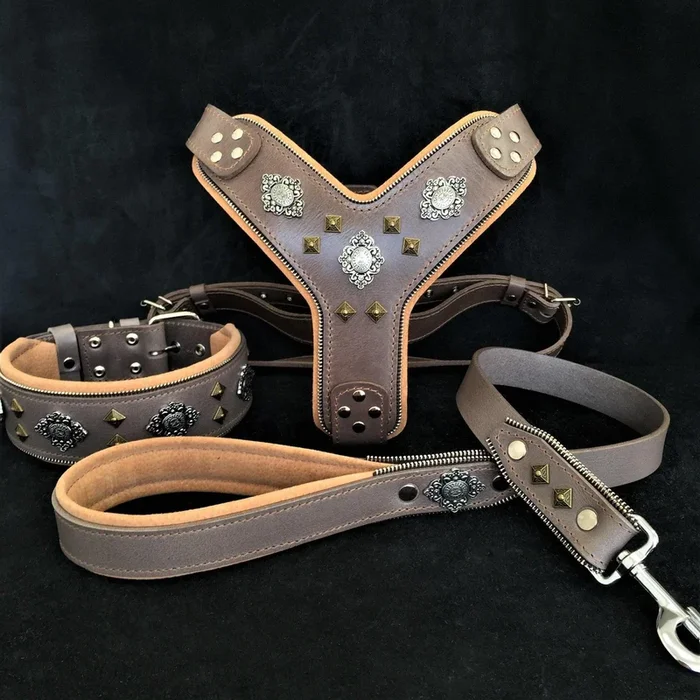 SET cane GRANDE “AZTEC” – Pettorina – collare – guinzaglio. Grigio