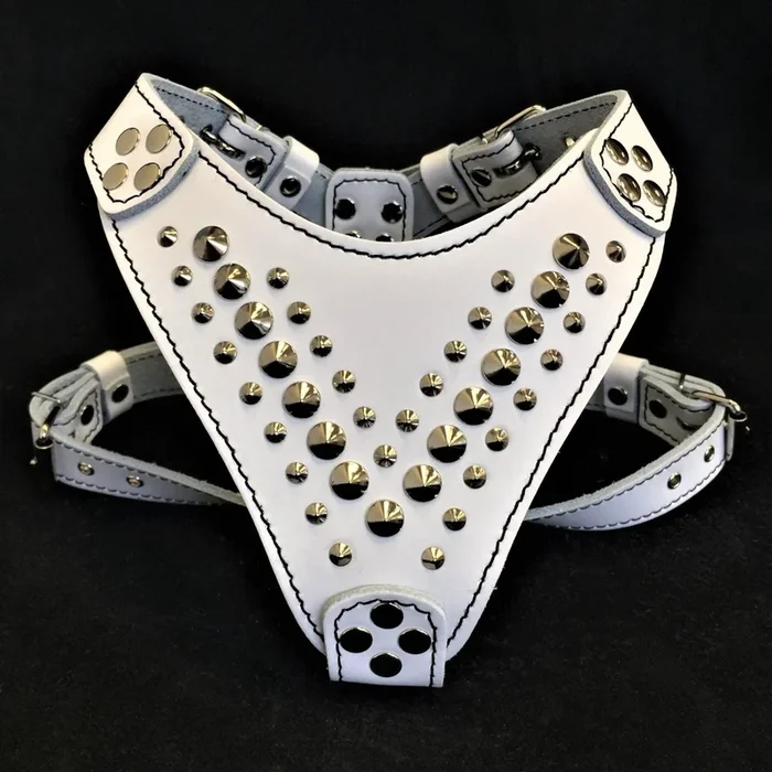 Harnais ”Star” de taille petite à moyenne