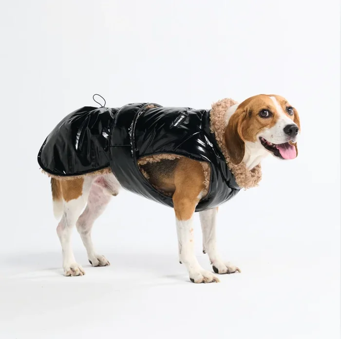 Slip-on Insulated Jacket – Gloss Black