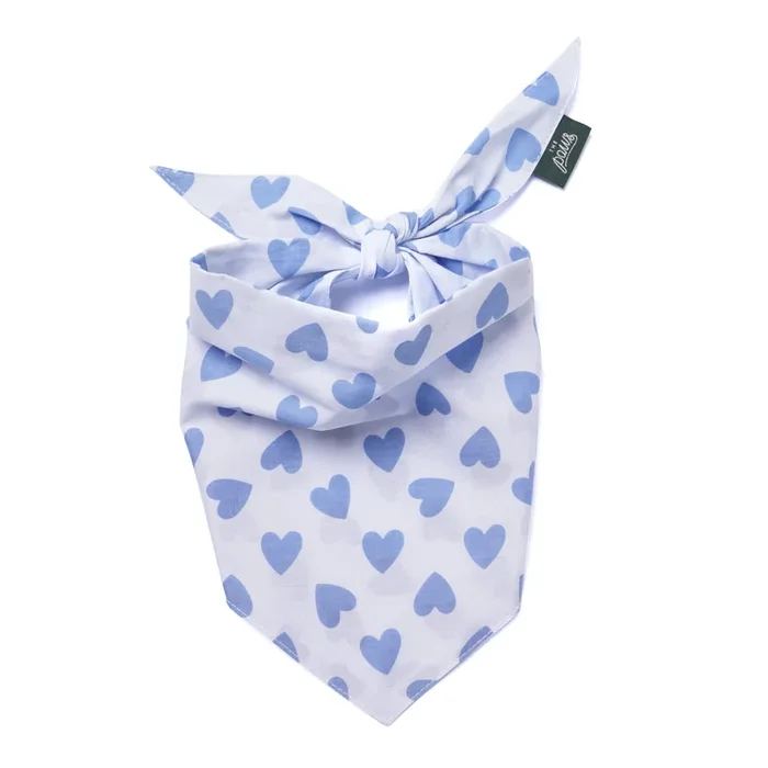 Story Dog Bandana