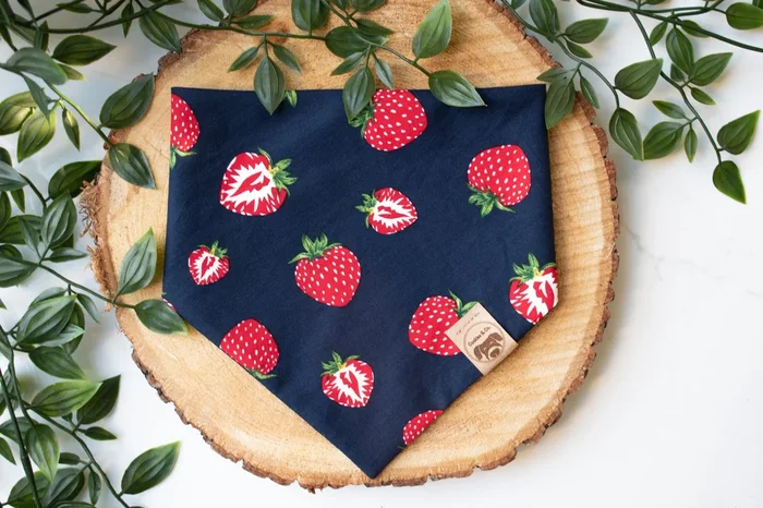 Strawberry Fields – Dog Bandana Tie-On with Snap Buttons