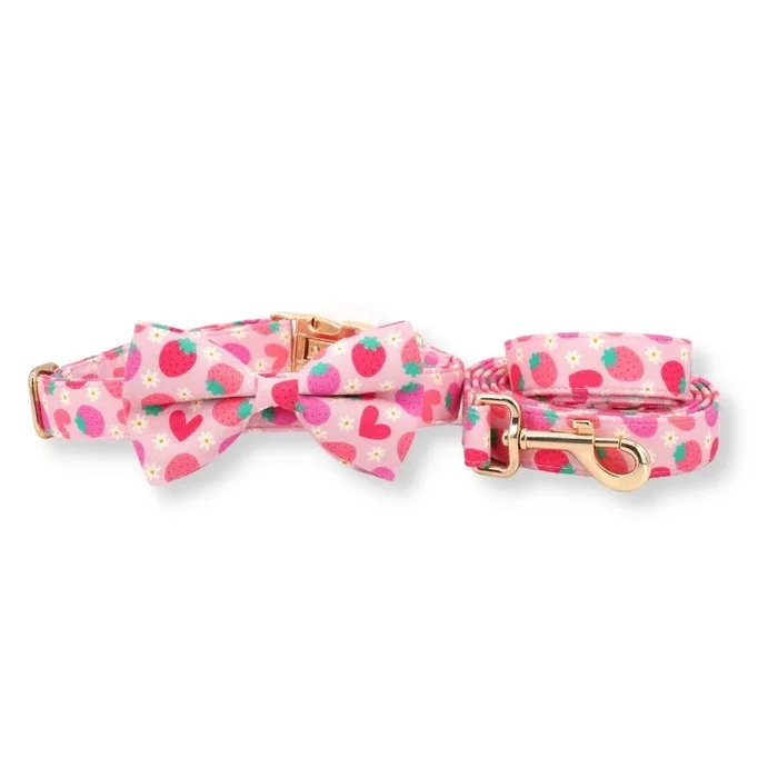 Strawberry Shortcake Signature Band™ + Slide-On Dappertie™ + Joyline™