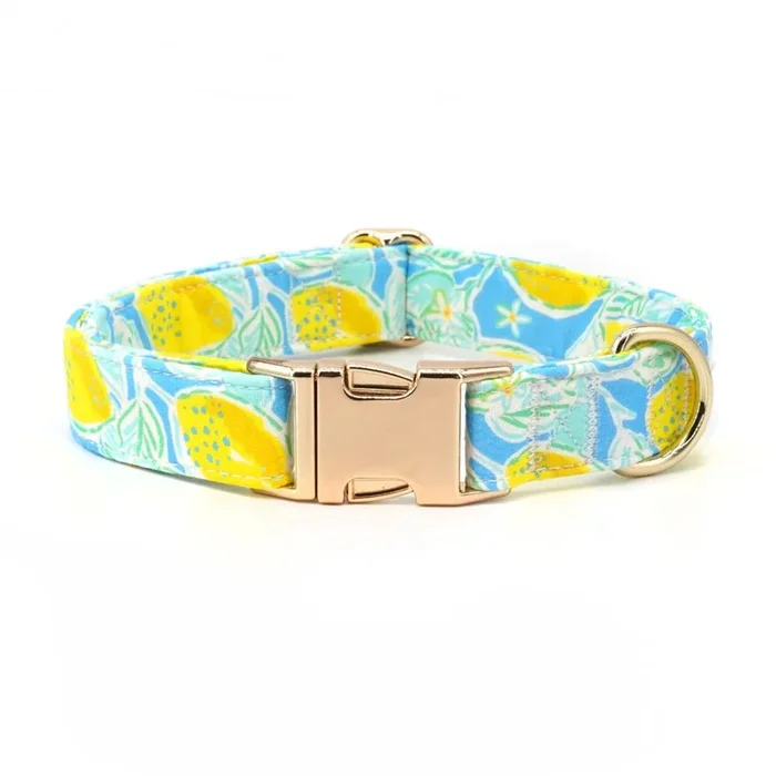 Sunny Lemons Signature Band™ – Crafted Collar