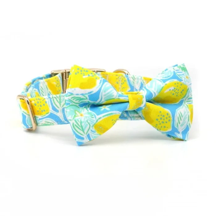 Sunny Lemons Signature Band™ + Slide-On Dappertie™
