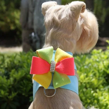 Susan Lanci Angela Pinwheel Tinkie Harness