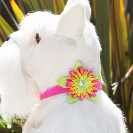 Susan Lanci Island Flower Collar