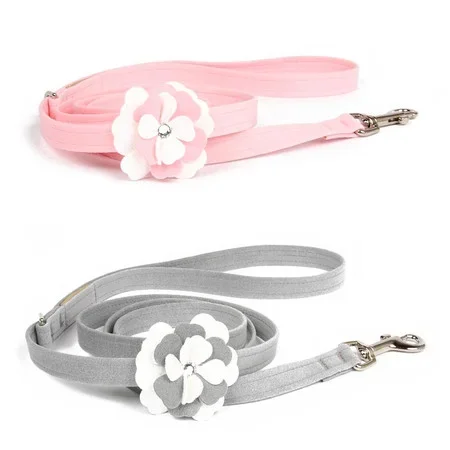 Susan Lanci Special Occasion Leash