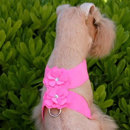 Susan Lanci Tinkie’s Garden Ultrasuede Harness