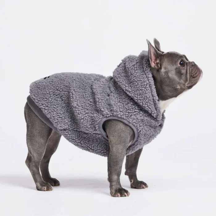 Teddy Sherpa Dog Jackets