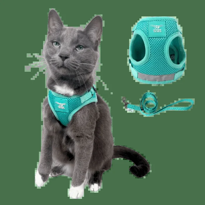 The Jackson Galaxy x Travel Cat Harness & Leash Set