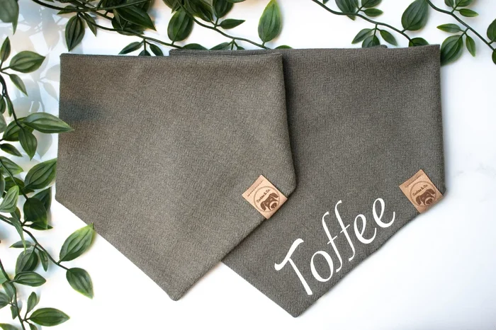 The Matcha – Dog Bandana Tie-On with Snap Buttons