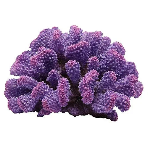 Underwater Treasures Toadstool Coral – Purple Prince