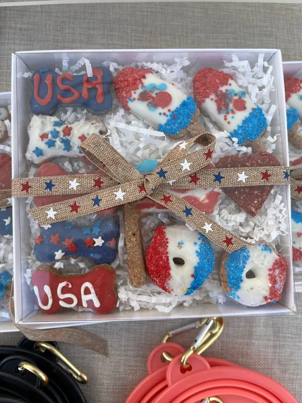 USA Treat Box