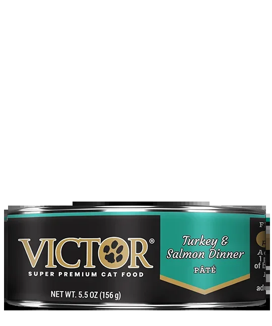 Victor Turkey and Salmon Dinner Pâté for Cat