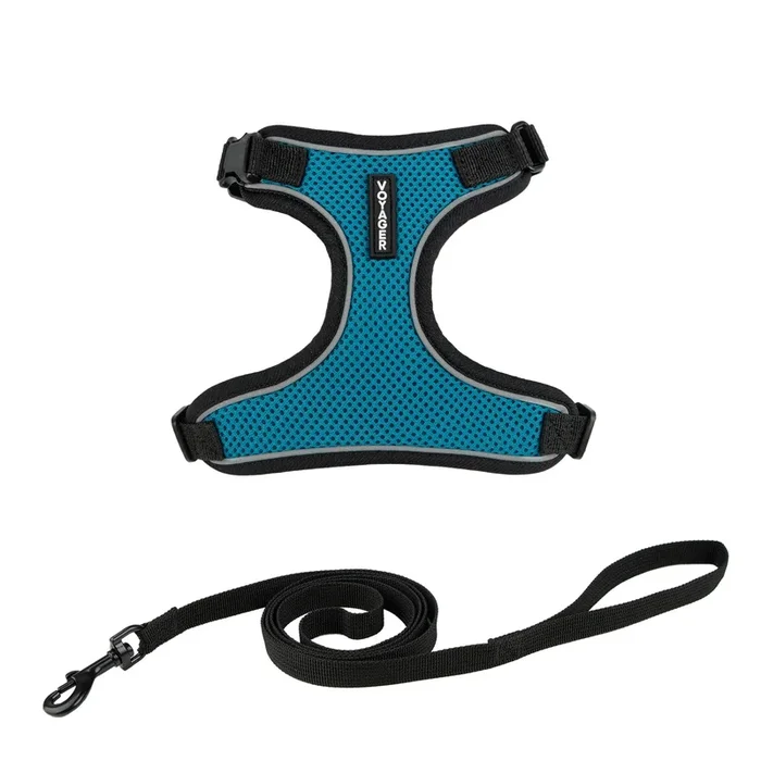 Voyager Escape Proof Cat Harness and Leash Set with Reflective Stitching, Neoprene Handle 5ft – Supports Small, Medium and Large Cats, Kittens for Walking by Best Pet Supplies – BT-Turquoise