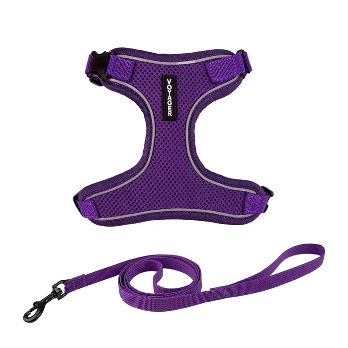 Voyager Escape Proof Cat Harness and Leash Set with Reflective Stitching, Neoprene Handle 5ft – Supports Small, Medium and Large Cats, Kittens for Walking by Best Pet Supplies – Purple