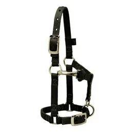 Weaver Miniature Halter Adjustable Average Black 5/8 in.