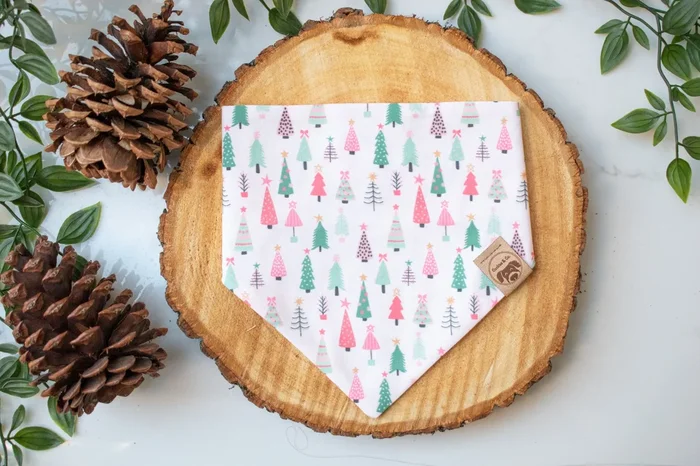 Winter Wonderland – Dog Bandana Tie-On with Snap Buttons