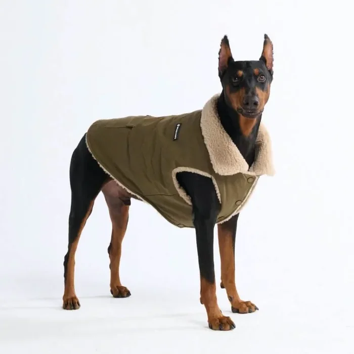 Workdog Insulated Utility Jacket – Green