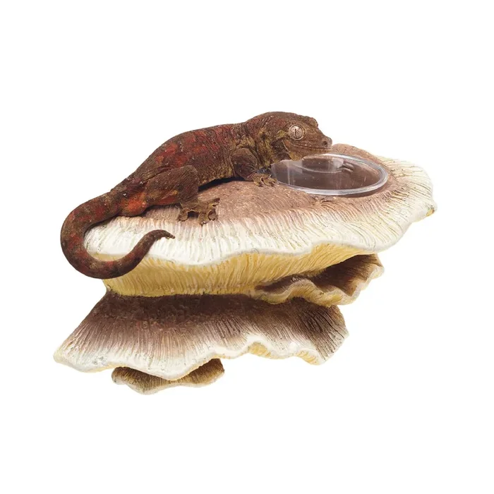 Zilla Vertical Decor for Reptiles Mushroom Feeding Ledge