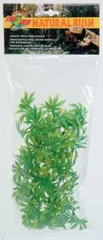 Zoo Med Medium Borneo Star {L-1}976122